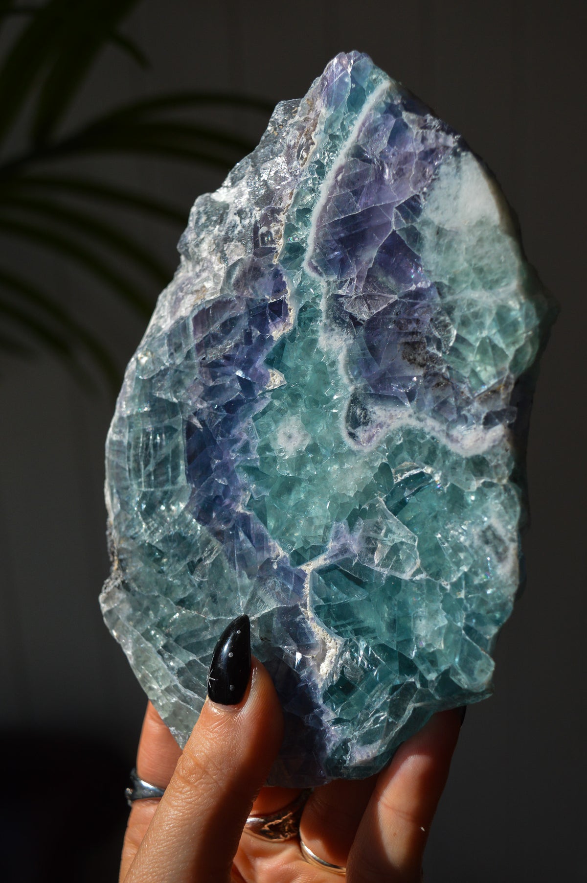 Rainbow Fluorite Slice