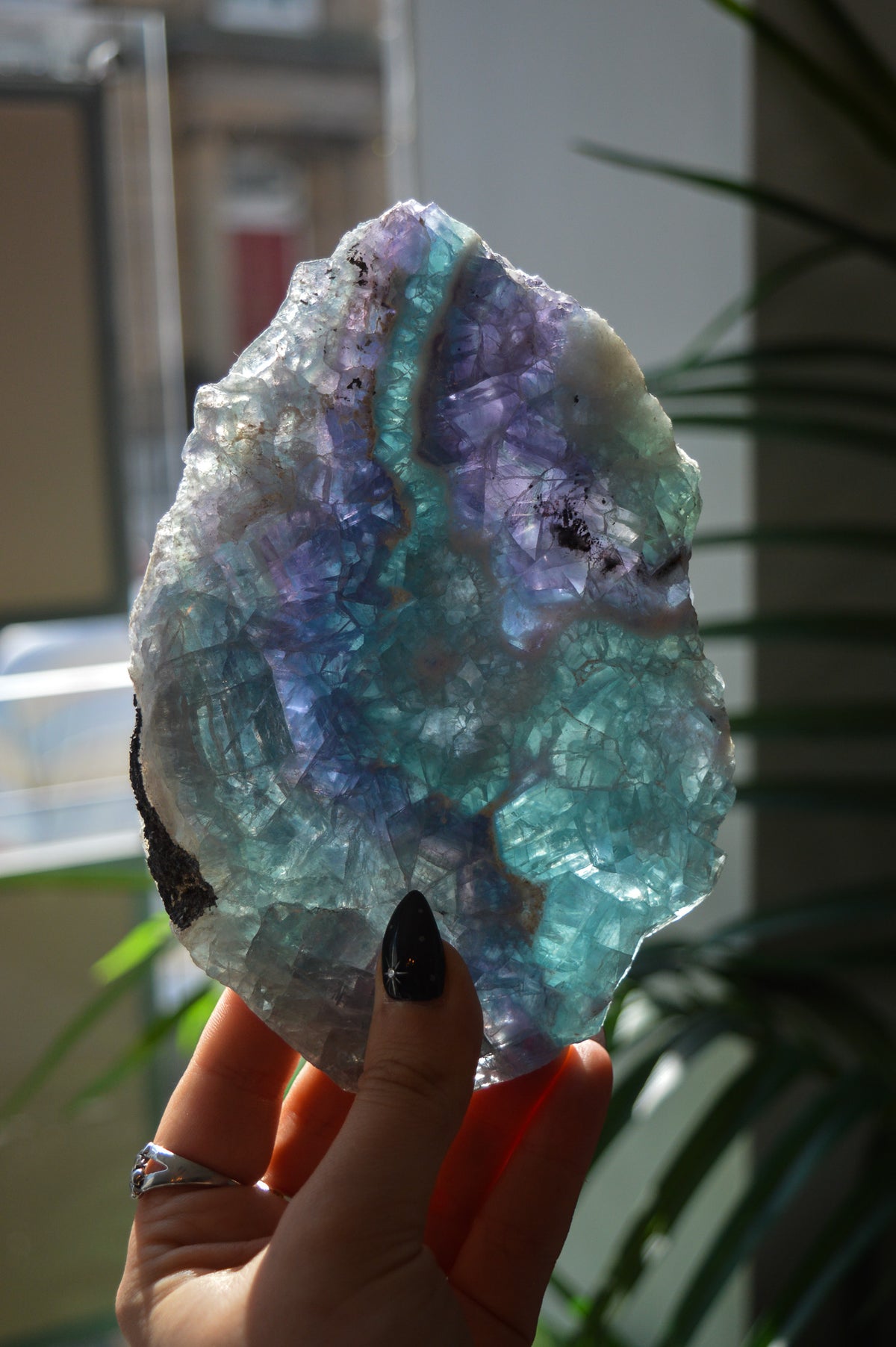 Rainbow Fluorite Slice