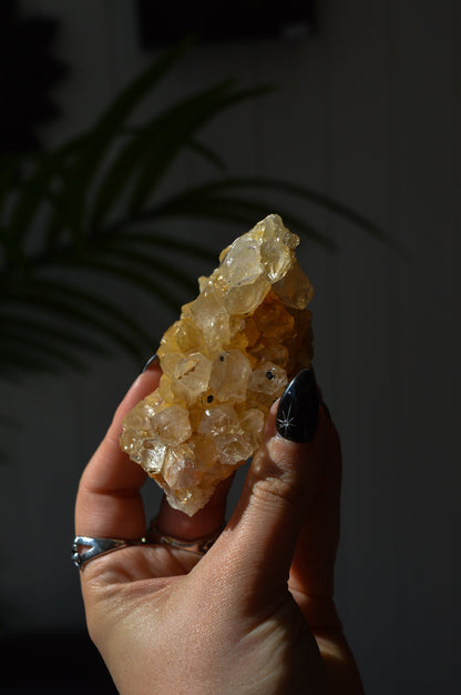 Golden Healer Quartz Specimen #1