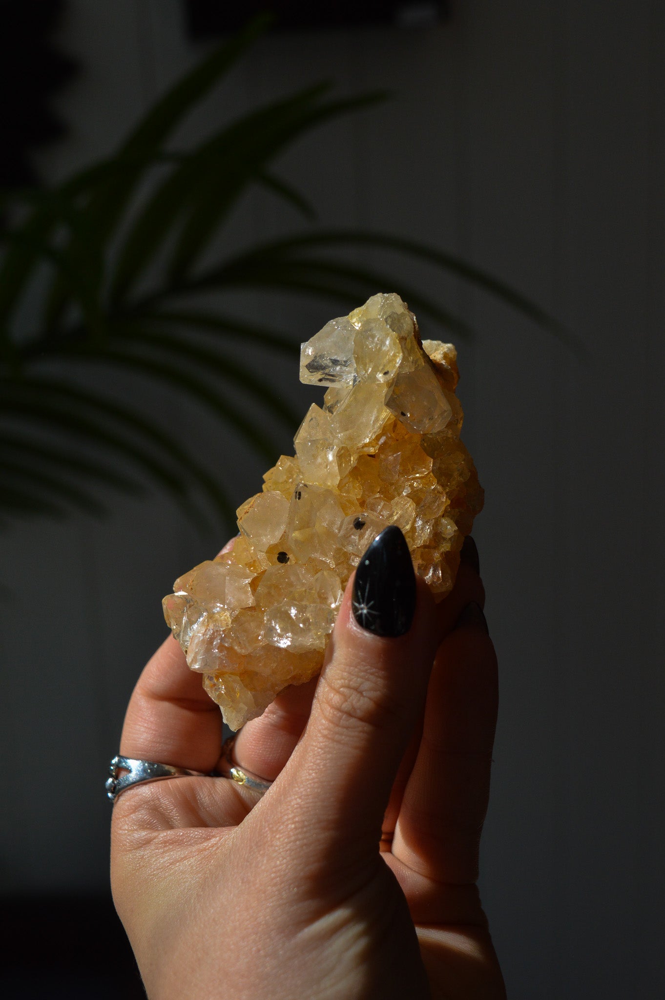 Golden Healer Quartz Specimen #1