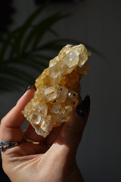 Golden Healer Quartz Specimen #1
