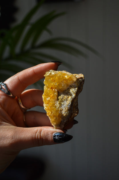 Golden Healer Quartz Specimen #2