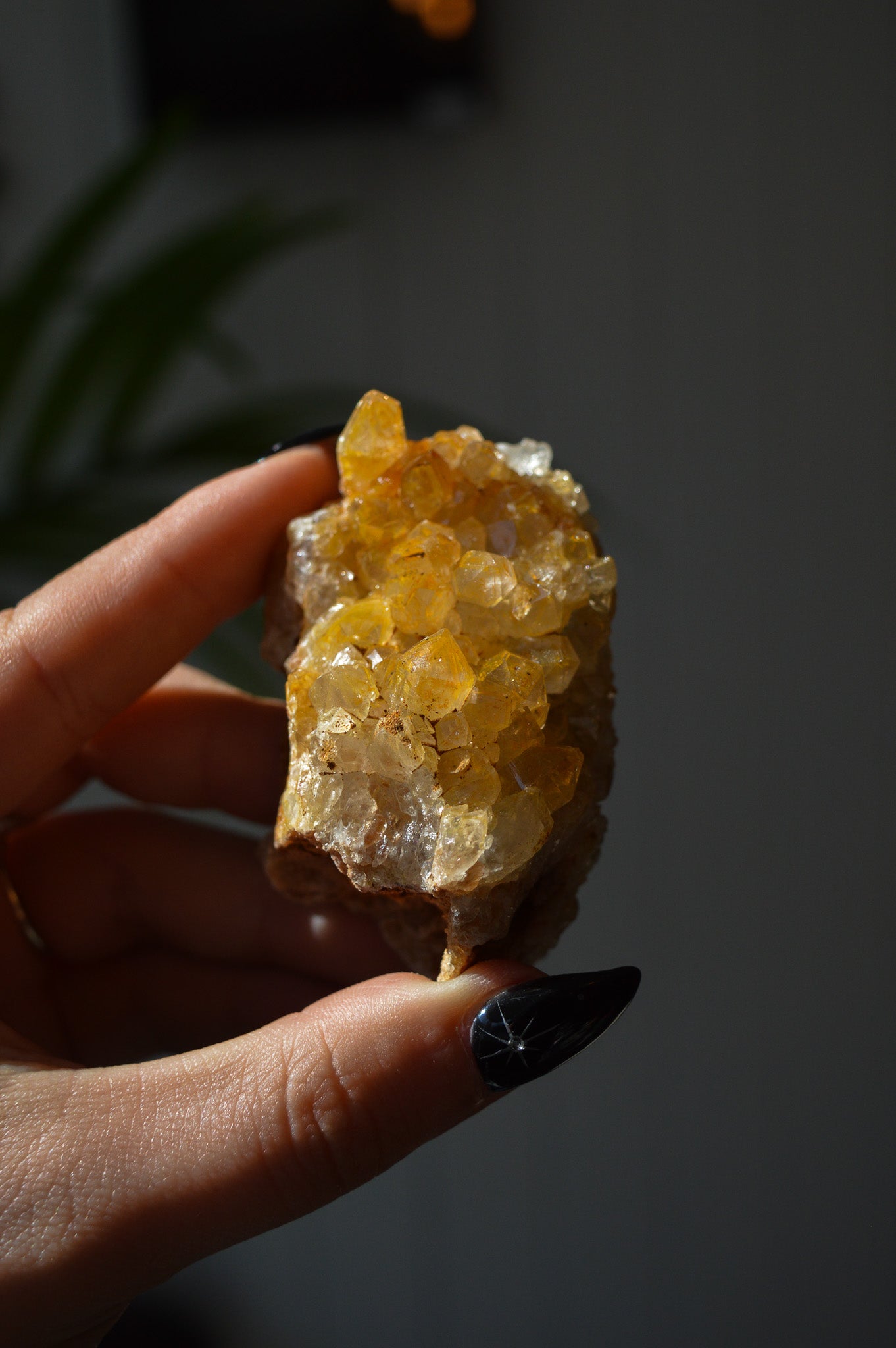 Golden Healer Quartz Specimen #3