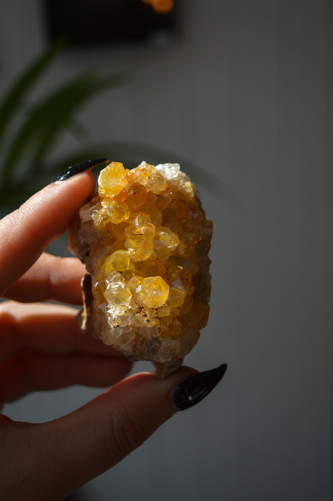 Golden Healer Quartz Specimen #3