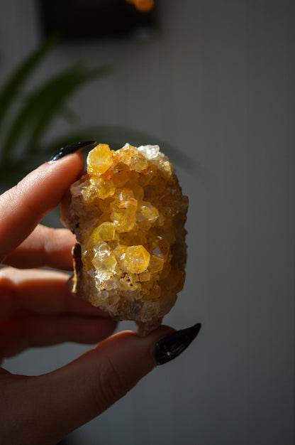Golden Healer Quartz Specimen #3