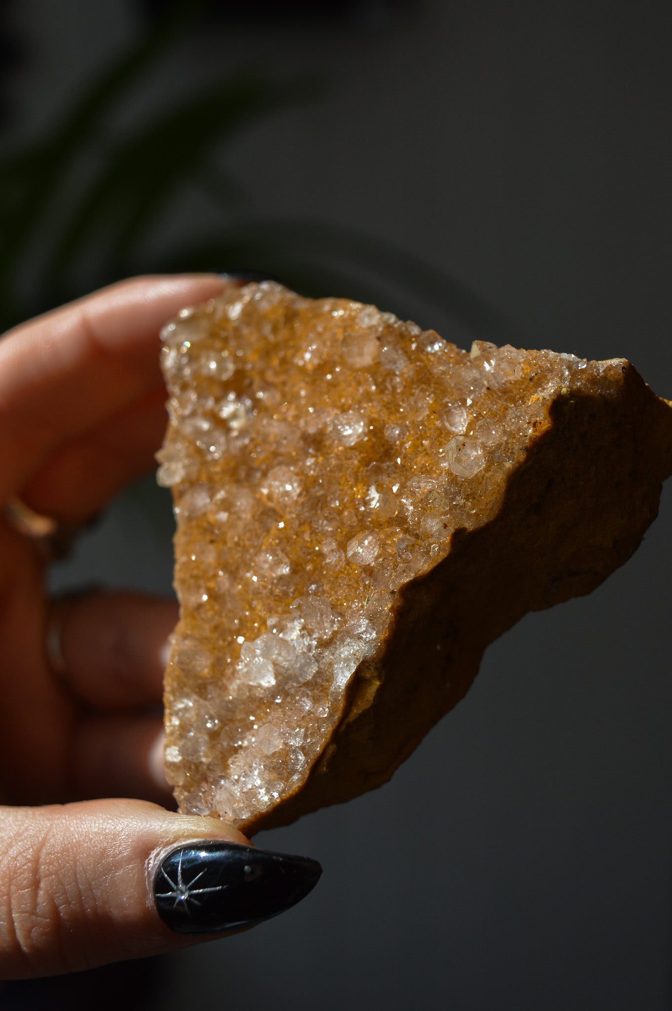 Golden Healer Quartz Specimen #4