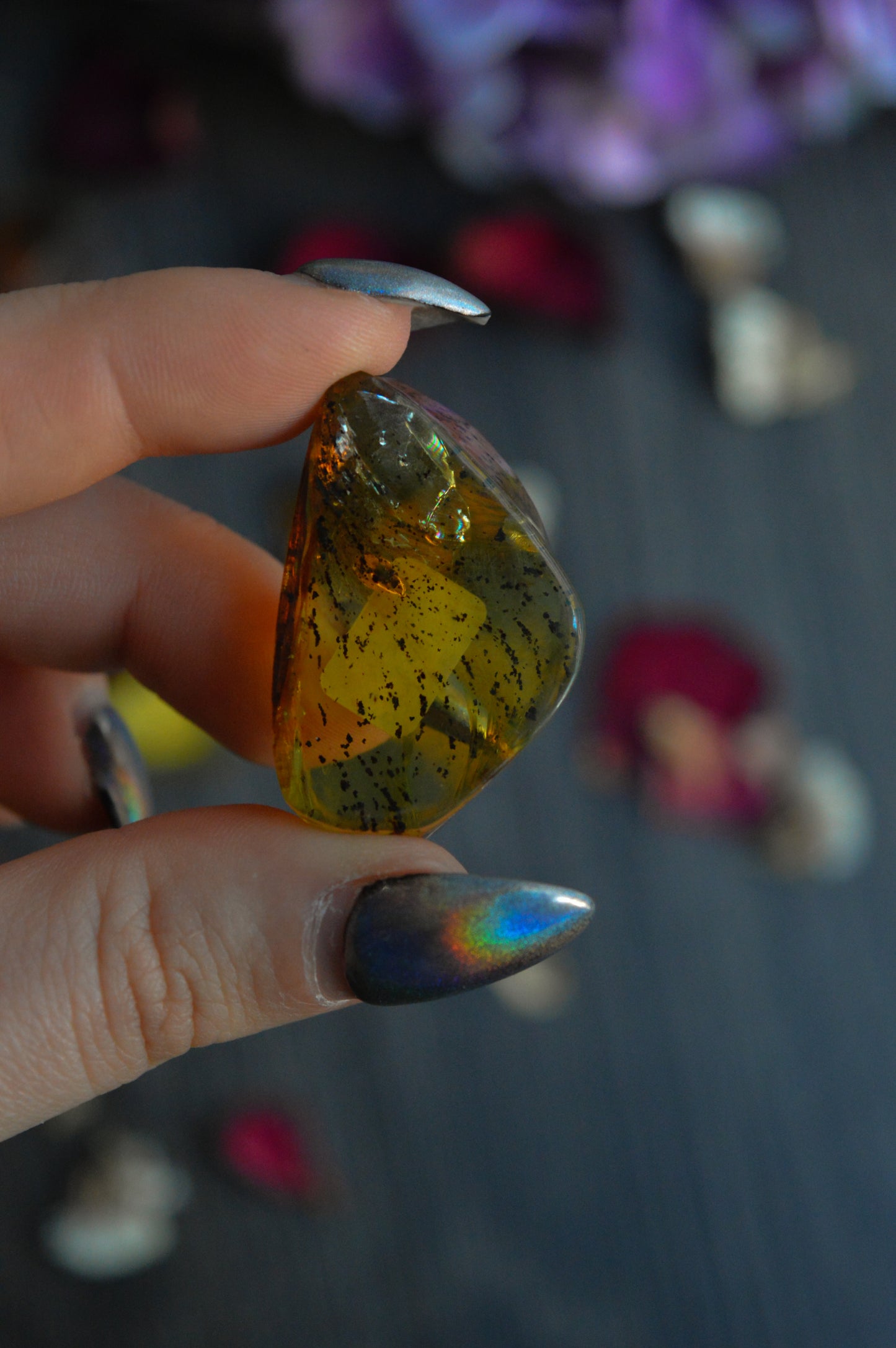 Chiapas Amber With Bugs #2