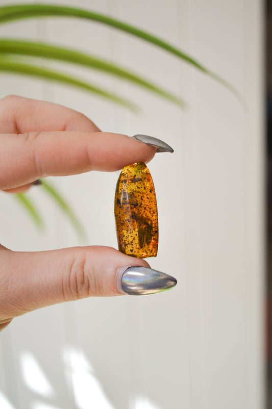 Chiapas Amber With Bugs #6