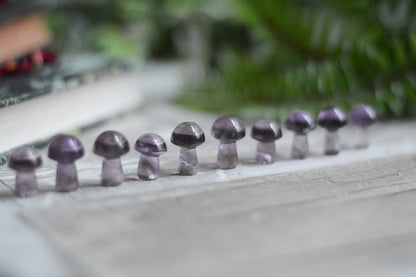 Mini Translucent Amethyst Mushroom